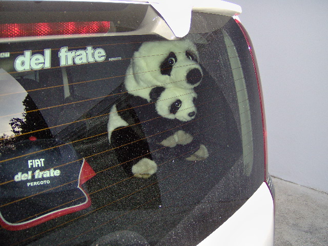 panda - E' arrivata la Panda!!! Hpim1423