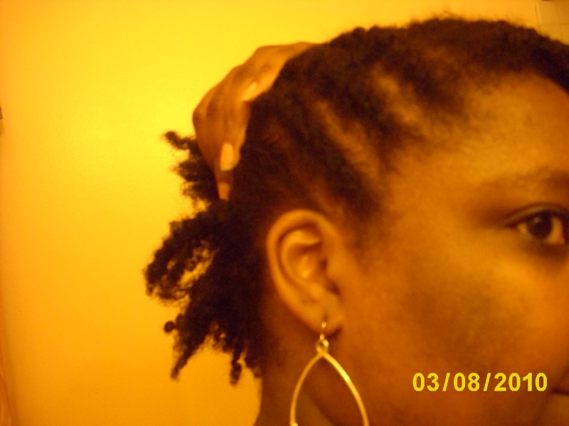 SheeTacular's Hair Journey - Slide show! - Page 20 Dsci2523
