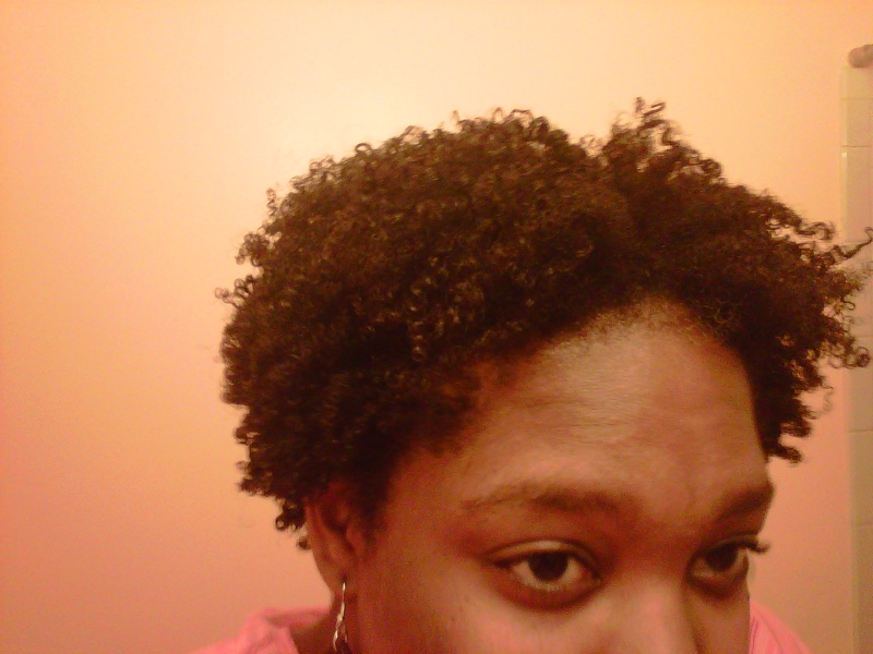 SheeTacular's Hair Journey - Slide show! - Page 30 Img00027