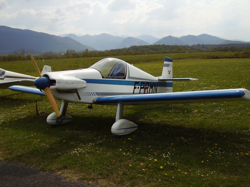 Colibri à vendre P4170010