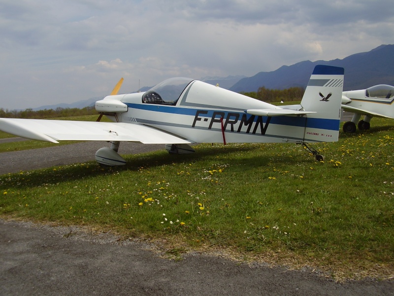 Colibri à vendre P4170014