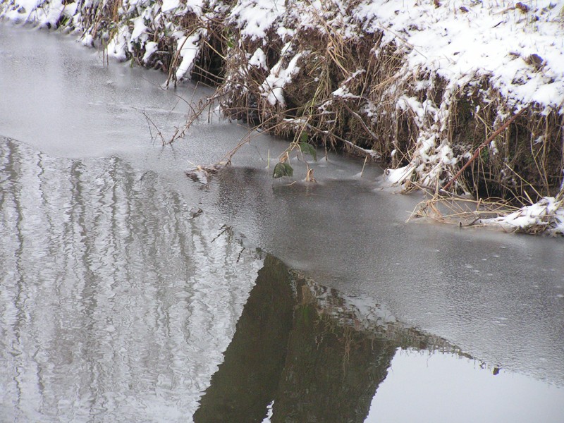 Le ruisseau sous la neige (photos de 2006) Dimage12