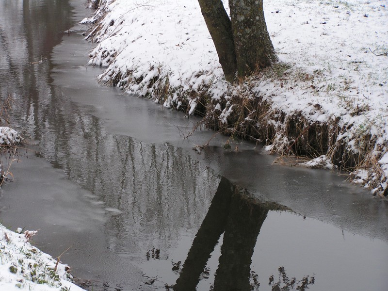 Le ruisseau sous la neige (photos de 2006) Dimage13