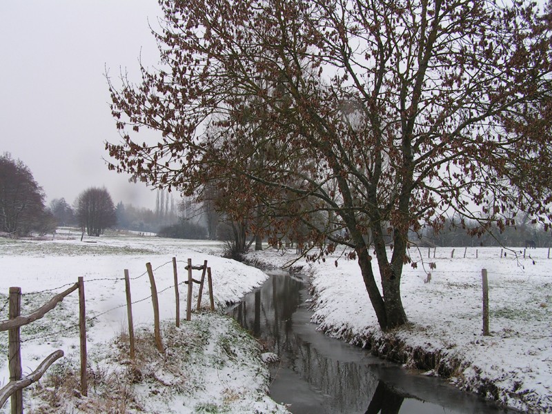 Le ruisseau sous la neige (photos de 2006) Dimage14