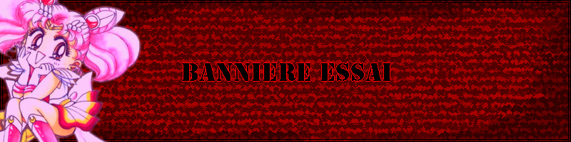 Banniere Originale Bannie13