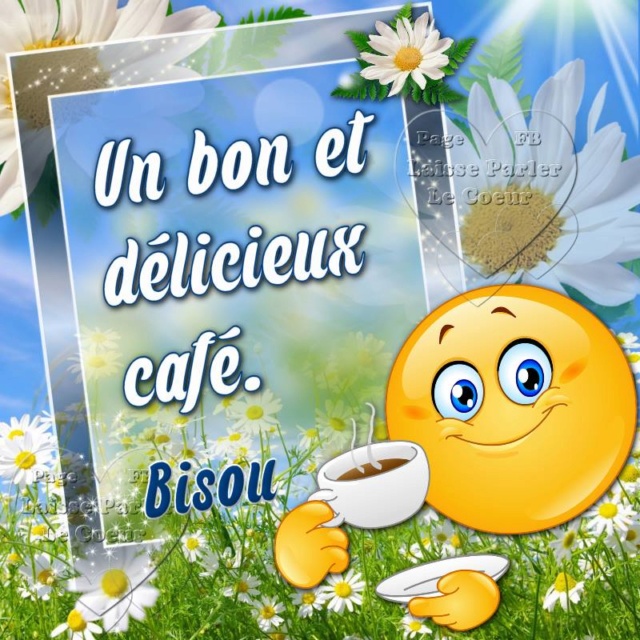 Bonjour, bonsoir..... - Page 19 11255610