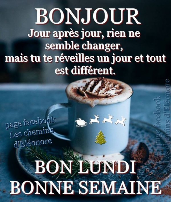 Bonjour, bonsoir..... - Page 10 13159810