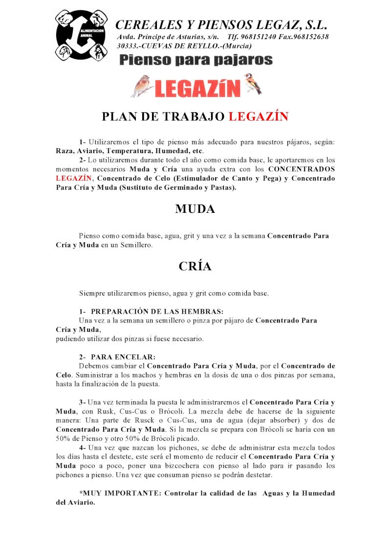 PLAN DE TRABAJO LEGAZIN Page0010