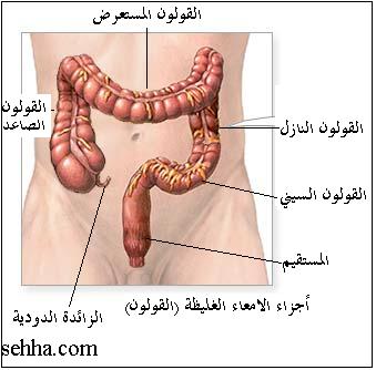 أمراض القولون ...... ربي يشفي كل مريض Ic510