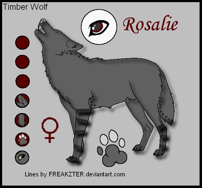 Timberwolfrüden gesucht Rosali10