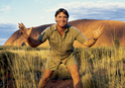 STEVE IRWIN  - The Crocodile Hunter ! Irwin_10