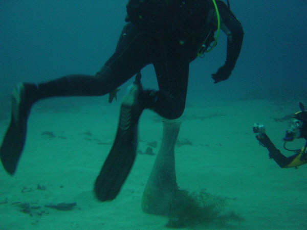 Anfora fenicia en 29 m de profundidad Dsc00610