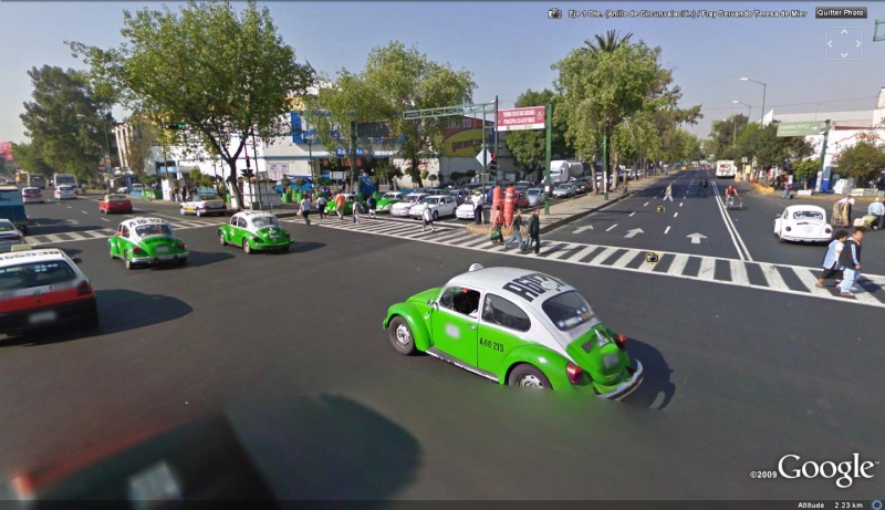 STREET VIEW : Les coccinelles Na5_6_10