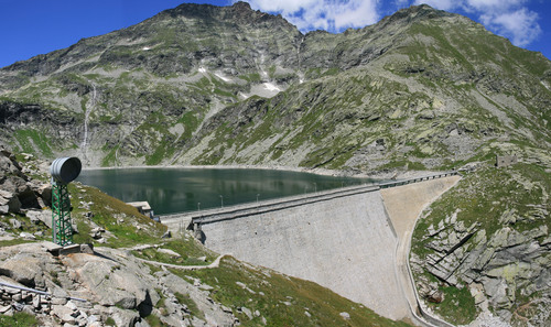 Bouquetin sur un barage en Italie Att11n10