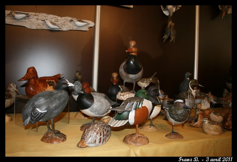 Le salon de chasse et de la faune sauvage de rambouillet  Page 2