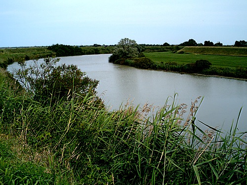 Fiume Reno: Sant'Alberto Reno10