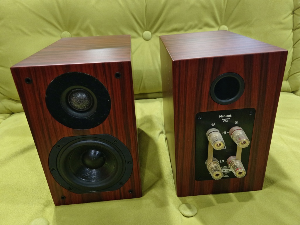 Silverline Minuet Supreme Plus Speakers (Sold) Img_2045