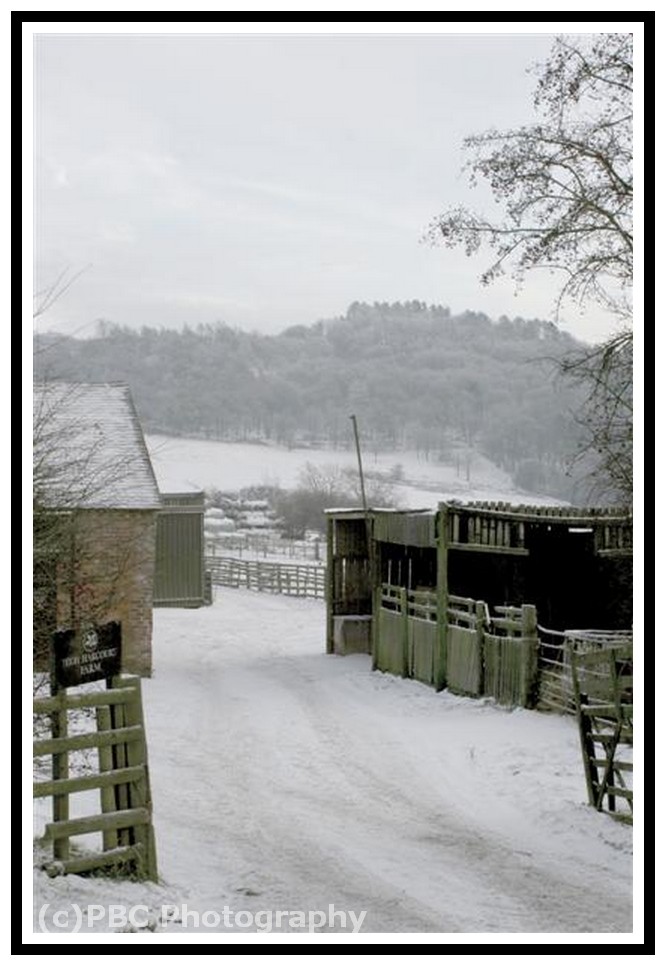 Your snow pic's here! Clent_12