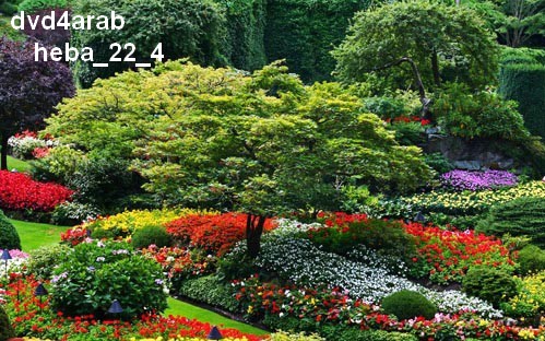 اجمل 10حدائق في العالم 35960410