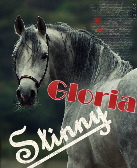 Gloria Stinny - F [L] Gloria11