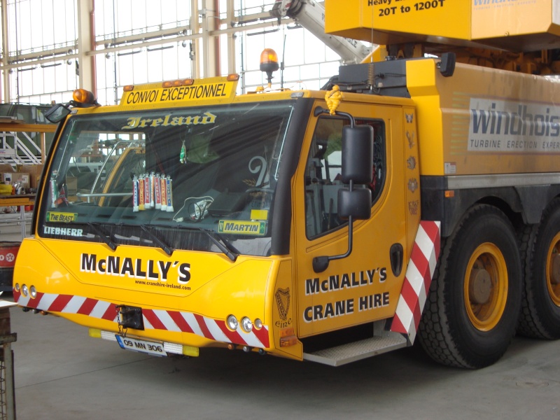 Les grues de Mc NALLY's (Irelande) Dsc00918