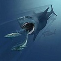 Les Requins préhistoriques 180px-11