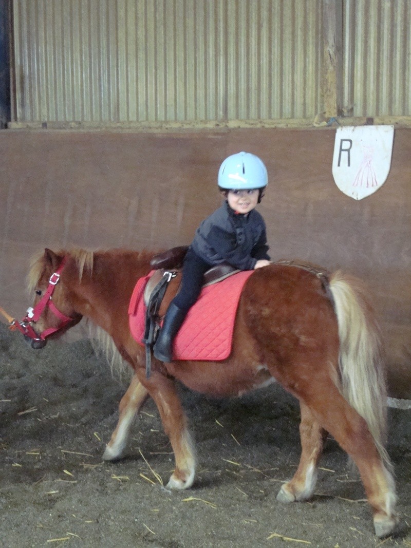 un petit tour en poney Dsc03010