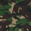 Les types de camouflage Dmp_br10