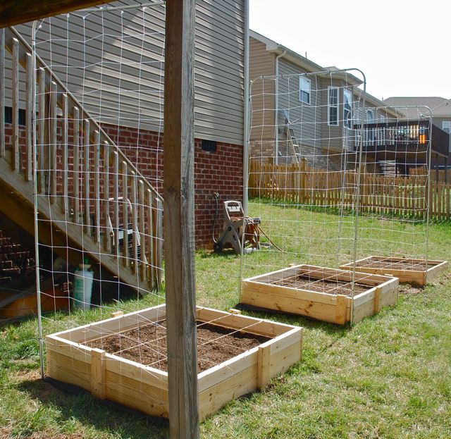 Finished with Boxes, Trellises, and Grids - your feedback appreciated Dsc_3014