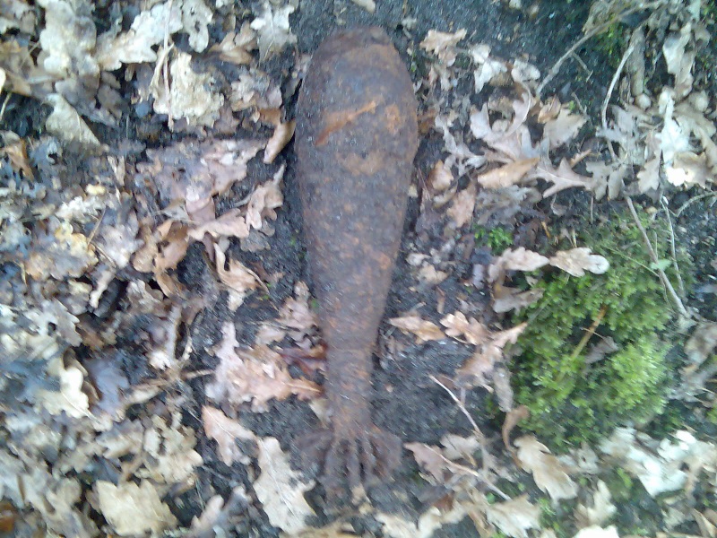 look what i have foundt in the woods Afb00410