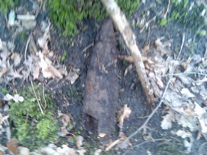 look what i have foundt in the woods Afb00510
