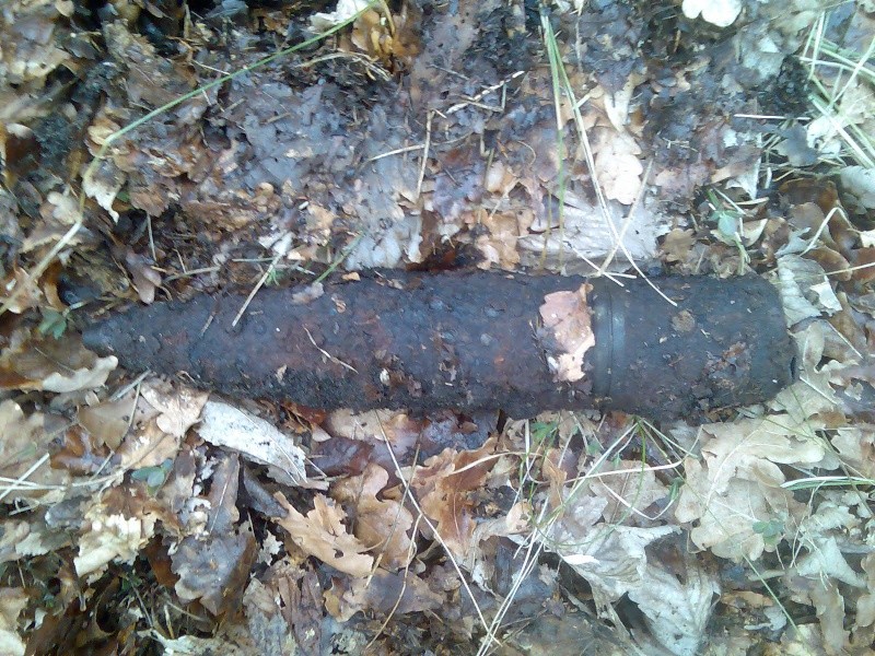 look what i have foundt in the woods Afb09810