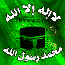 لا مساهمات جديدة لا مساهمات جديدة