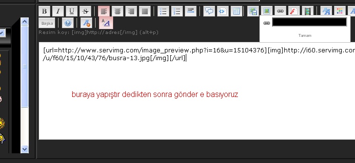 foruma nasıl resim eklerim Ay_bmp10