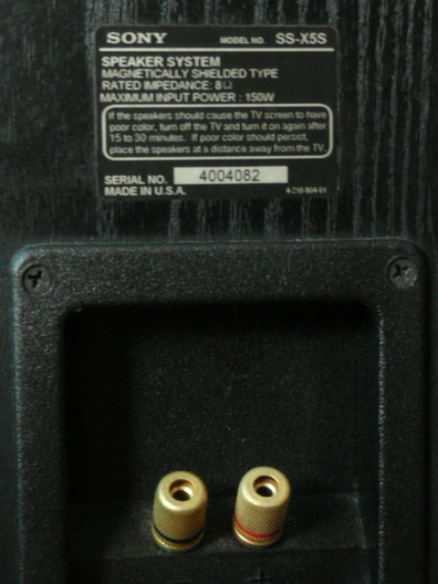 Sony SS-X5S Floorstand Speaker (Used) P1030513