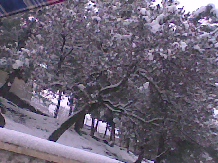 La neige Photo011