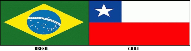 Brésil vs Chili le 28 juin 20:30 sur TF1 Bresil12