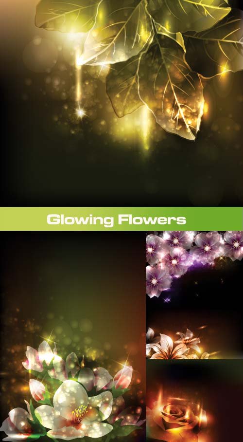 حصرياً أجمل وأحدث وأروع 5 خلفيات عالية الجودة لصور الورود المتوهجة Glowing Flowers  2011 13023710