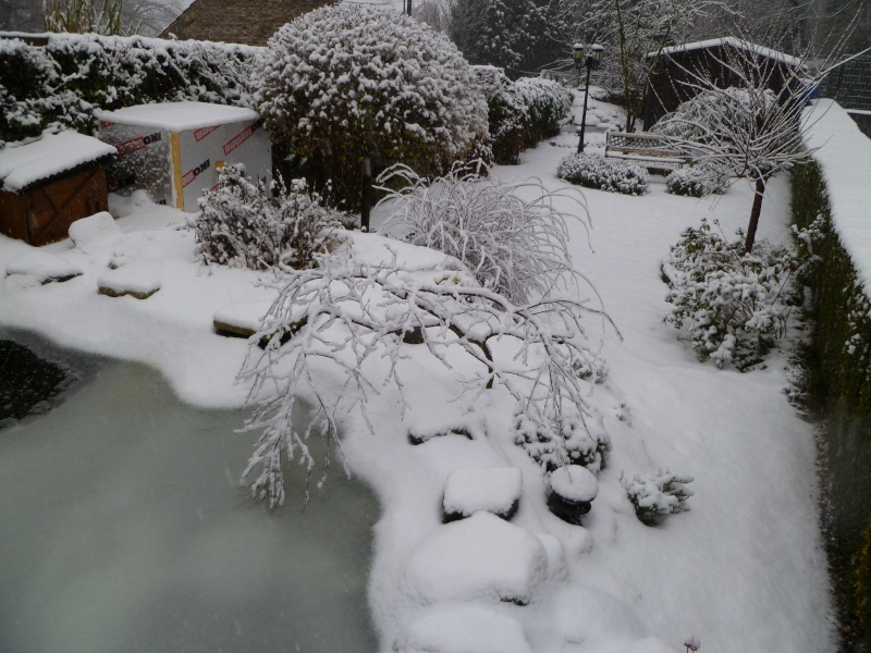 super chute de neige ce dimanche ! P1000716