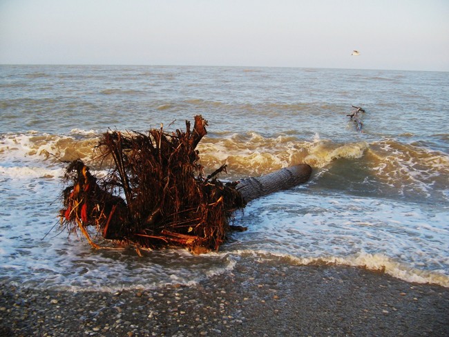 L'alluvione a Scerne di Pineto Spiagg10