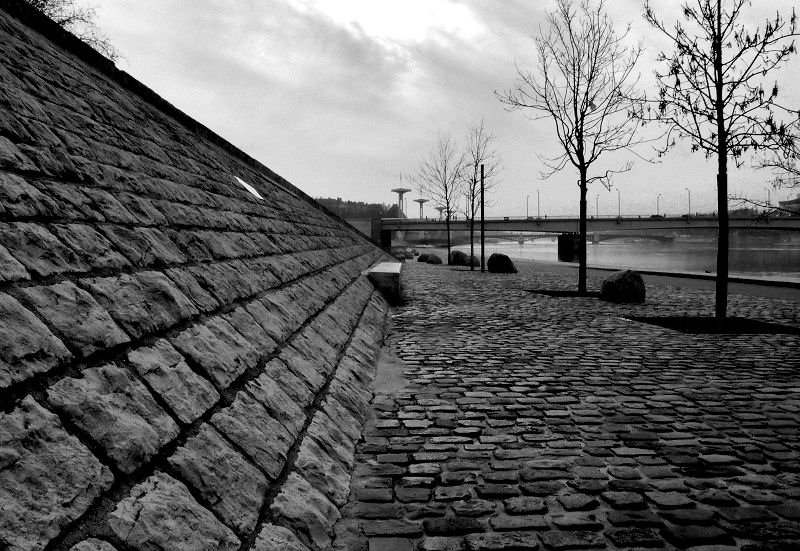 berges du rhône _1181110