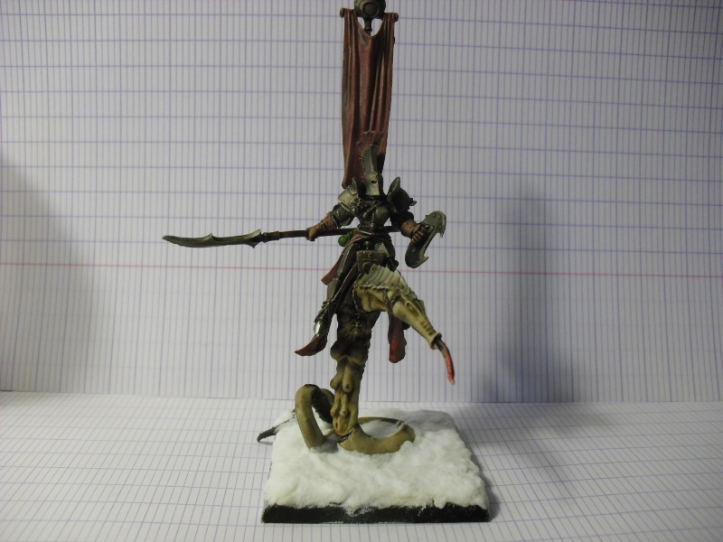 [Chaos] Armée compléte Guerriers du chaos Pinou_19