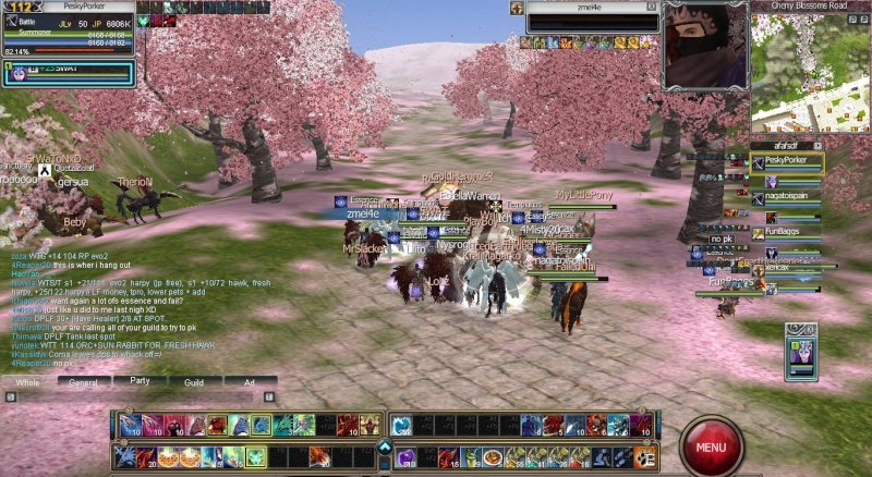 Guild Screenshots Rappel11