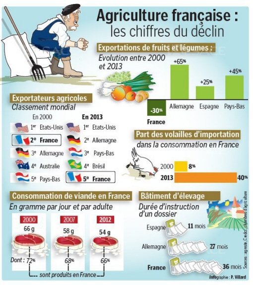 Compétitivité de l’agriculture Française  Le Sénat tire la sonnette d’alarme 4ead4b10