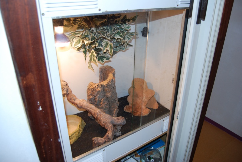 Nouvelles installations pour Geckos et Pogo dans un placard Photo_13