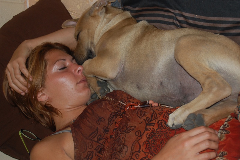 Où, comment, pourquoi vos chiens dorment ils ? - Page 4 Dsc_0014