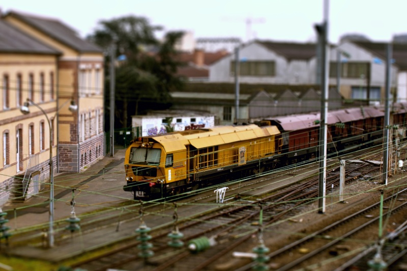 mon petit train en gare  de rennes Miniat11