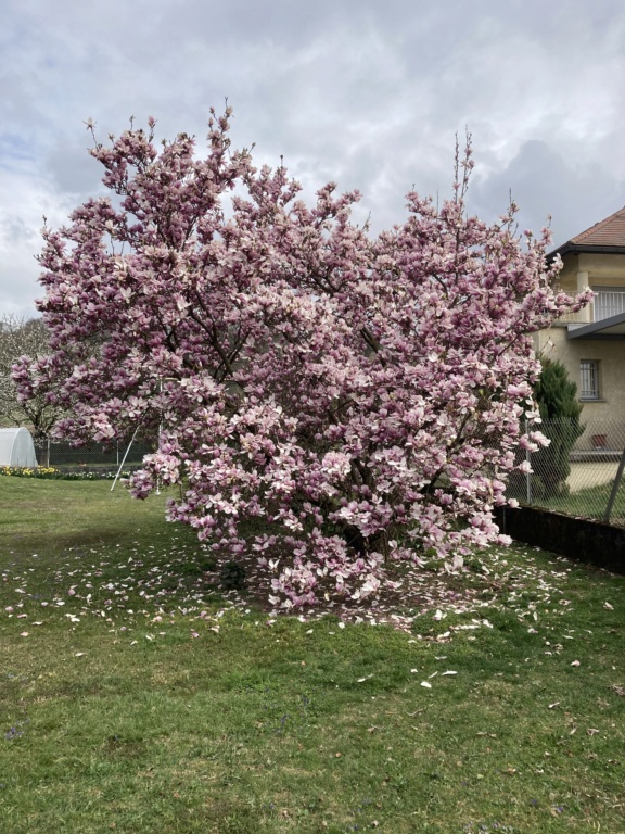 UN TI TOUR AU JARDIN - Page 30 89fc6110