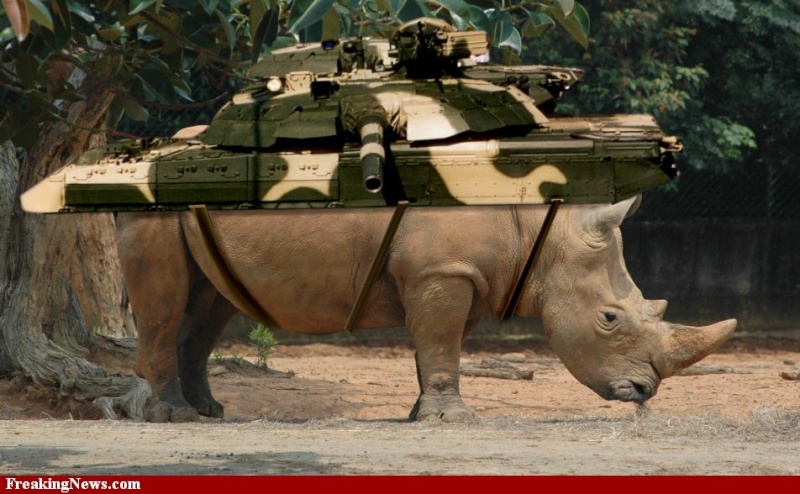 SEAL loadout Rhino-10