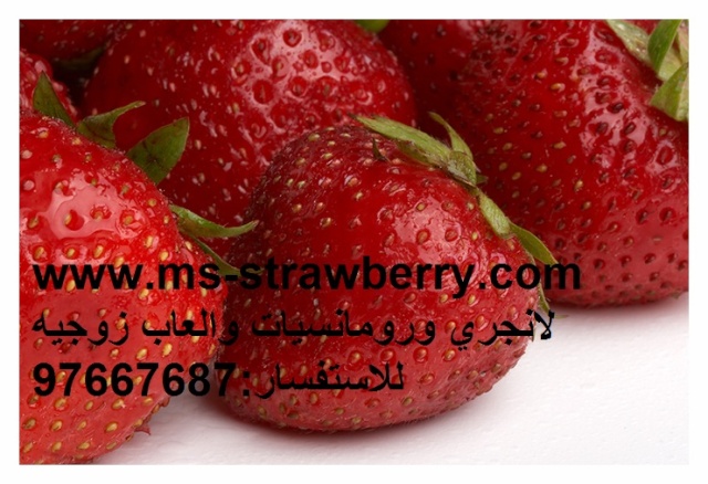  تم افتتاح موقعي ms-strawberry.com حيااااااااااكم الله  12231010